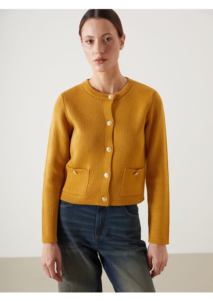 Yeni Sezon Bisiklet Yaka Kadın Triko Hırka