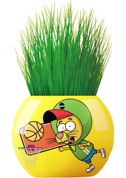 Kral Şakir Temalı Çim Adam 6'lı Set – Çocuklar Için Eğitici ve Bitki Yetiştirme Kiti