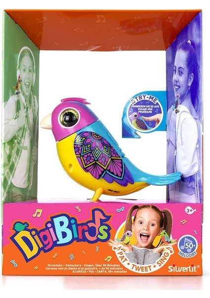 Digibirds Tekli Paket Seri-2 Asorti