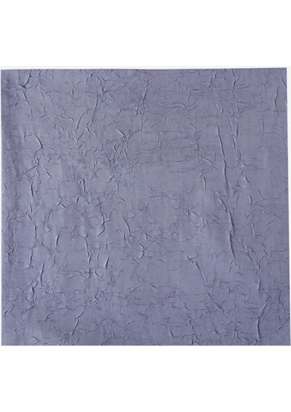 Yeni Sezon Kendinden Desenli Kadın Şal fiyatları