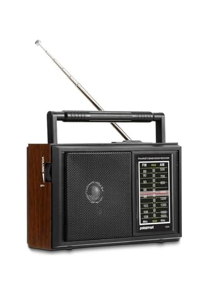 FS74 Nostaljik Radyo Siyah fiyatları