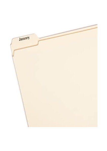 Indiziert Dosya Düzenleyici Set, Aylık (Jan-Aralık) Klasör, Güçlendirilmiş 1/5-Cut Tab, Size, Manila, 12 Pro Set (Navigasyon Cihazı) modelleri