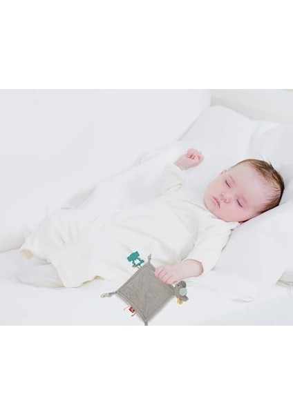 Babyjem Diş Kaşıyıcılı Uykucu Birdy Kahve