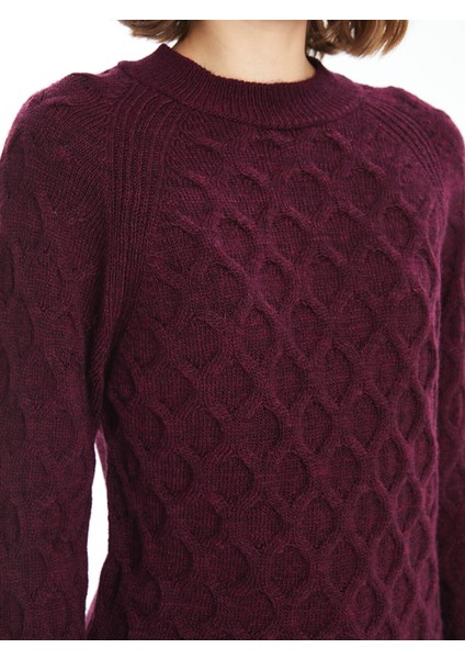 Yeni Sezon Bisiklet Yaka Kendinden Desenli Uzun Kollu Kadın Triko Kazak modelleri