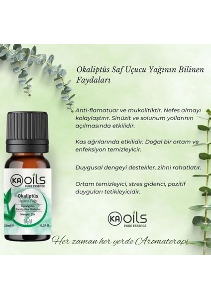 Kaoils Okaliptüs Uçucu Yağı 10 ml | Eucalyptus Globulus Essential Oil | Ferahlatıcı ve Arındırıcı | Solunum Desteği ve Zindelik Için Aromaterapi Yağı fiyatları