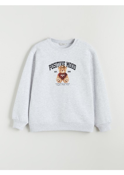 Yeni Sezon Ayı Teddy Baskılı Oversize Kadın Kalın Sweatshirt indirimleri