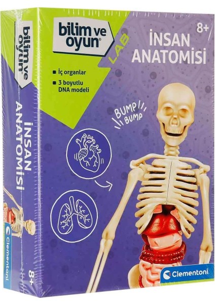 Bilim ve Oyun - Insan Anatomisi Oyuncak