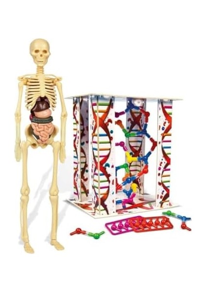 Bilim ve Oyun - Insan Anatomisi Oyuncak fiyatları