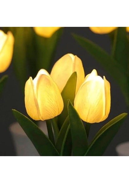 Lale Masa Lambası fiyatları