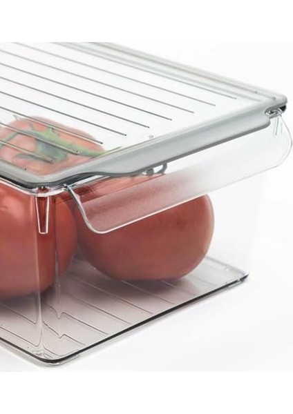 Pet Buzdolabı Düzenleyici Kapaklı (M) fiyatları