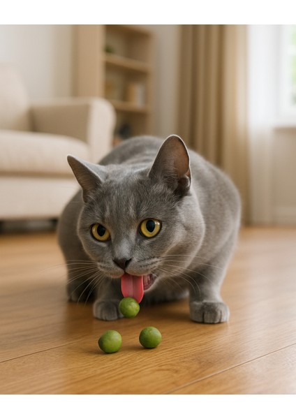 Gras-Bits Kedi Ödül Tableti (425 Gr) fırsatları