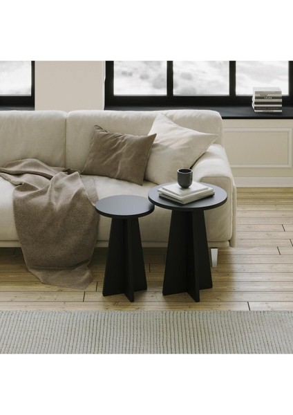 Mushroom 2 Li Sehpa Seti/siyah