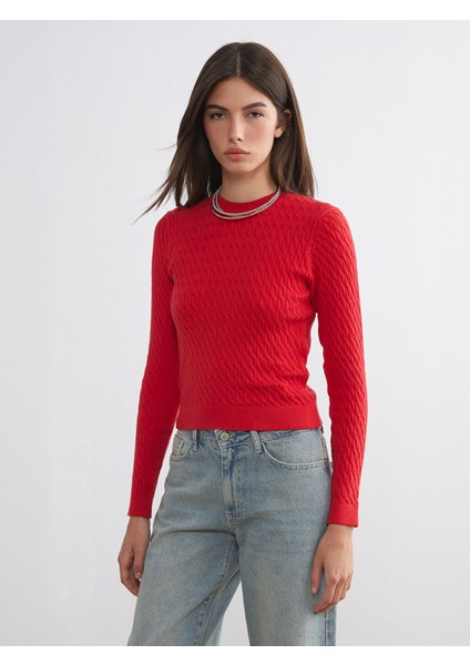 Yeni Sezon Bisiklet Yaka Kendinden Desenli Kadın Triko Kazak