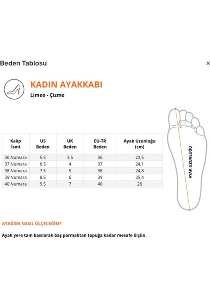 Sivri Burunlu Deri Görünümlü Cilt Acı Kahve Önü Metal Detaylı Fermuarlı Kısa Sade Klasik Bot Bootie