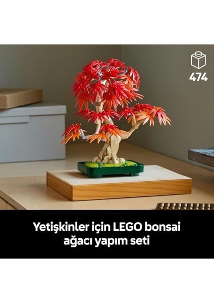Kırmızı Akçaağaç Bonsai Ağacı 10348 - Yetişkinler Için Dekoratif Yapım Seti, Bitki Severler Için Yaratıcı Hediye Fikri, Doğum Günü Hediyesi (474 Parça) modelleri