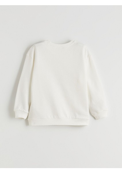 Yeni Sezon Bisiklet Yaka Baskılı Erkek Çocuk Sweatshirt 2'li indirimleri