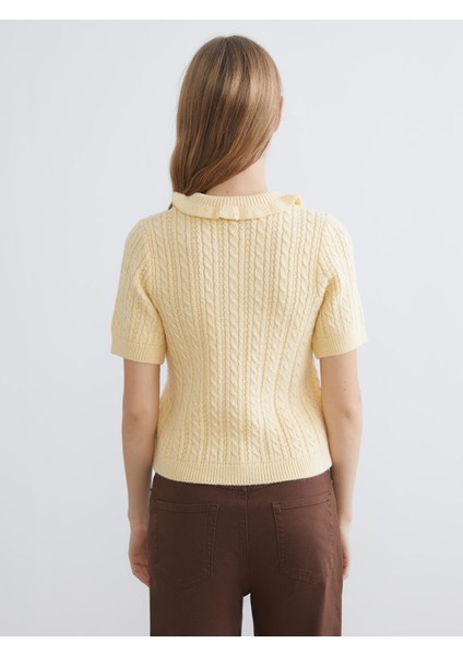 Yeni Sezon Polo Yaka Kendinden Desenli Kadın Triko Kazak fırsatları