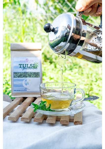Haven Herbs & Blends Tulsi - Spearmint Çayı 50 gr | Tulsi - Nane | Bitki Çayı