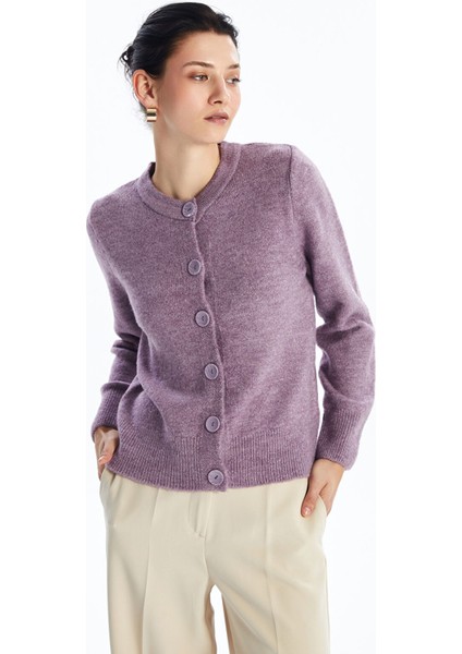 Yeni Sezon Bisiklet Yaka Düz Uzun Kollu Kadın Triko Hırka