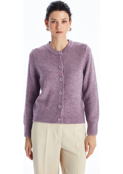 Yeni Sezon Bisiklet Yaka Düz Uzun Kollu Kadın Triko Hırka fiyatları