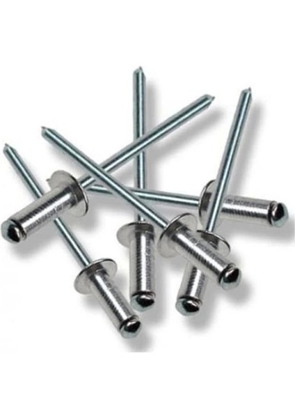 Perçin Pop 5X10 mm (10 Adet)