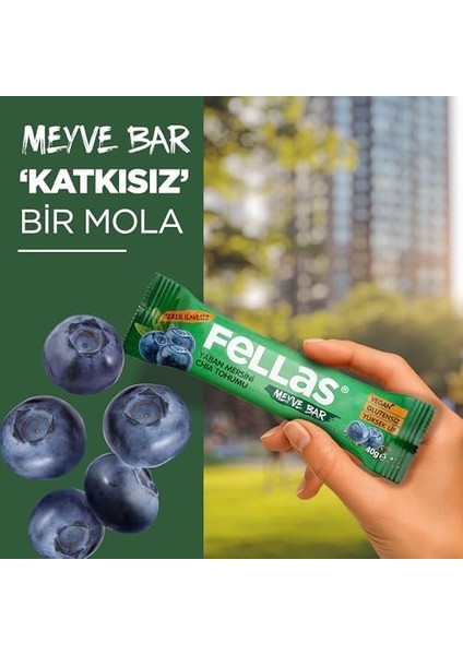 Fellas Meyve Bar, Chialı ve Yaban Mersinli, 40GR x 12 Adet modelleri