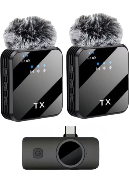 ZR1027 F12 Type-C Ikili Mikrofon