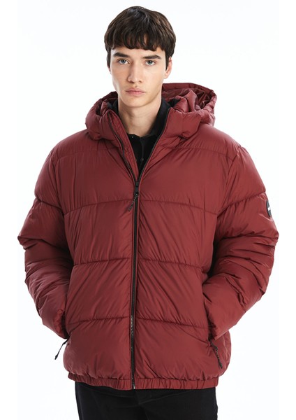 Yeni Sezon Standart Kalıp Kapüşonlu Erkek Şişme Mont fırsatları