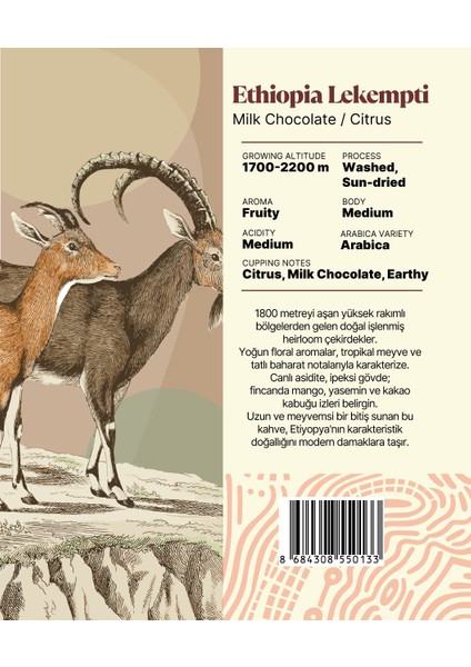 Ethiopia Lekempti Yöresel Filtre Kahve 250 Gr. fiyatları