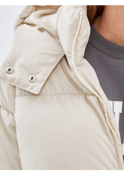 Yeni Sezon Kapüşonlu Kadın Şişme Mont modelleri