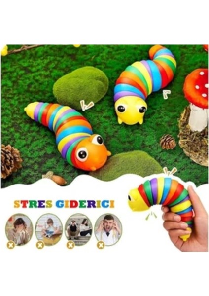 2 Adet Söktak Eğlenceli, Stres ve Anksiyete Giderici Montessori Tırtıl Oyuncağı Renkli fiyatları