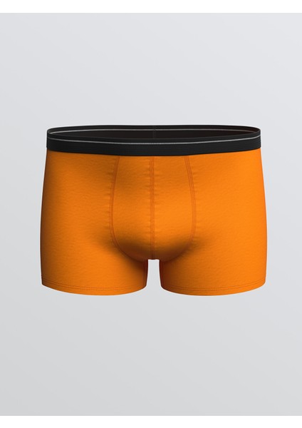 Yeni Sezon Standart Kalıp Pamuklu Esnek Erkek Boxer 3'lü modelleri