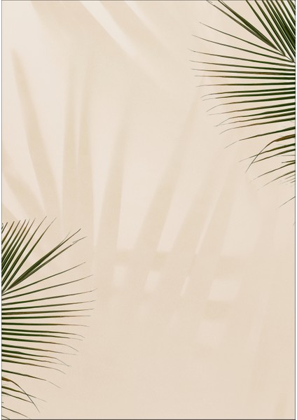 Fotoğraf Çekim Fonu 70X100 cm