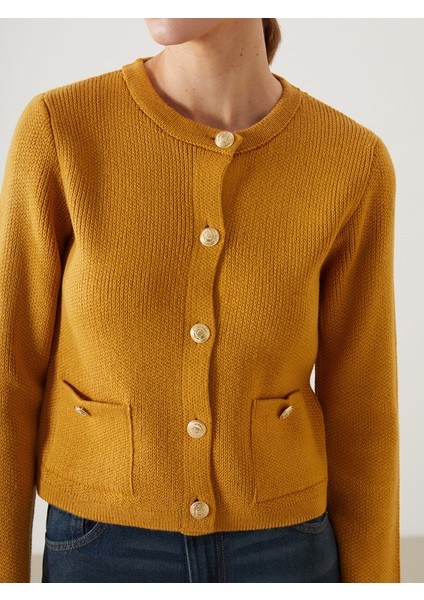 Yeni Sezon Bisiklet Yaka Kadın Triko Hırka modelleri