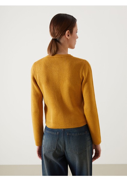 Yeni Sezon Bisiklet Yaka Kadın Triko Hırka fırsatları