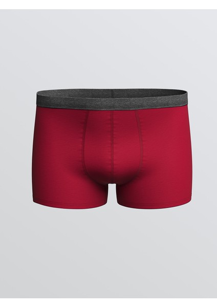 Yeni Sezon Standart Kalıp Pamuklu Esnek Erkek Boxer 3'lü fırsatları