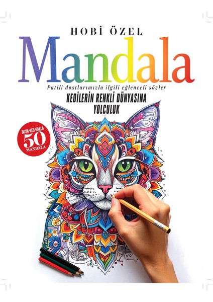 Mandala Kedilerin Renkli Dünyası