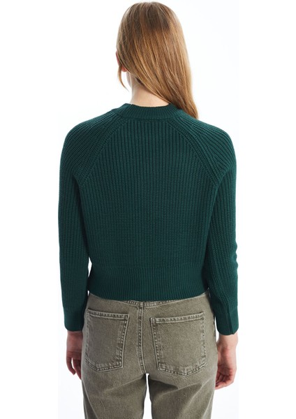 Yeni Sezon Bisiklet Yaka Düz Uzun Kollu Kadın Triko Kazak fırsatları