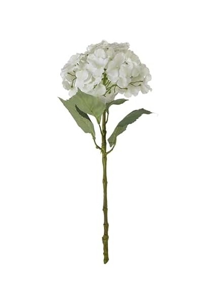 Concept Ortanca Çiçek Beyaz 54CM modelleri