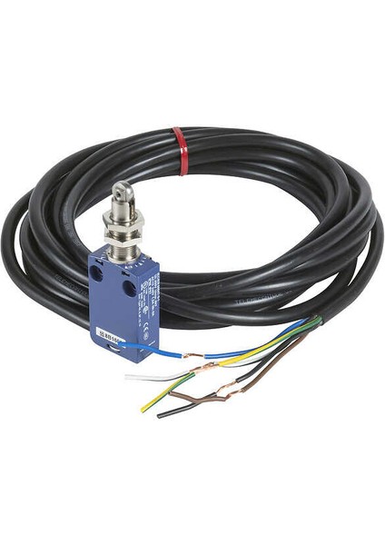 XCMD21F2L1-LS 1no 1nc Sa 1m Cable Fıx Head Roll