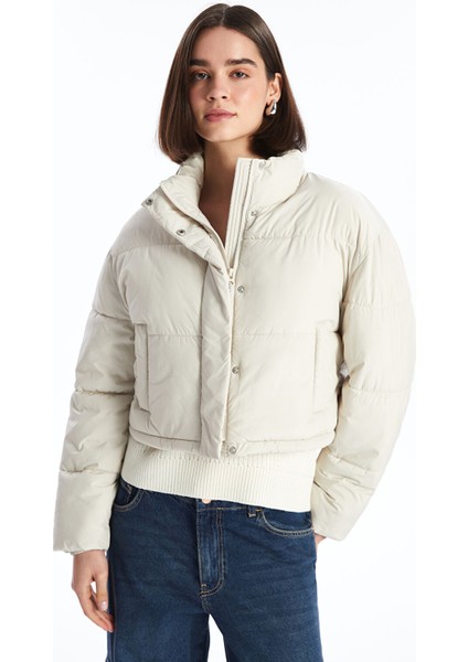 Yeni Sezon Dik Yaka Kadın Şişme Mont