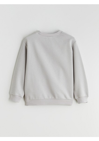 Yeni Sezon Baskılı Erkek Çocuk Sweatshirt fırsatları