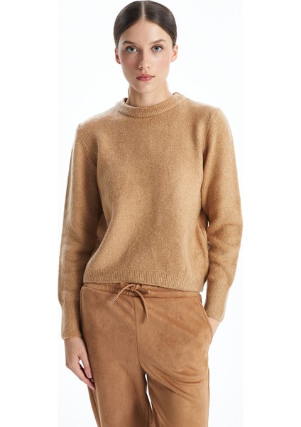 Yeni Sezon Bisiklet Yaka Düz Uzun Kollu Kadın Triko Kazak