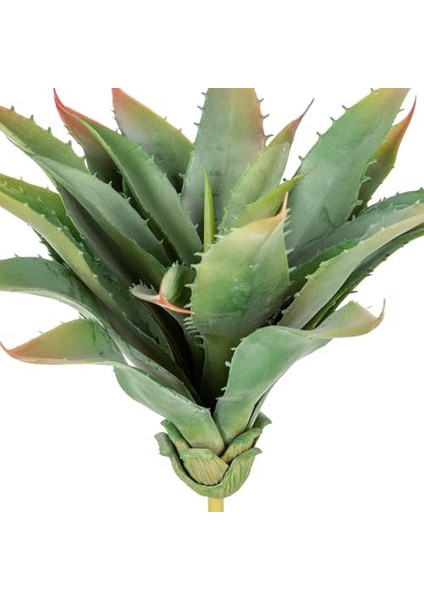 Yapay Kaktüs Sukulent Yeşil 30 cm fiyatları