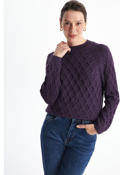 Yeni Sezon Bisiklet Yaka Kendinden Desenli Uzun Kollu Kadın Triko Kazak