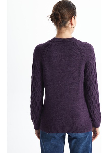 Yeni Sezon Bisiklet Yaka Kendinden Desenli Uzun Kollu Kadın Triko Kazak fırsatları