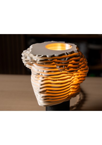 David Artlamp – Modern Sanat Büstü Masa Lambası