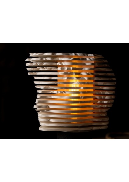 David Artlamp – Modern Sanat Büstü Masa Lambası fiyatları