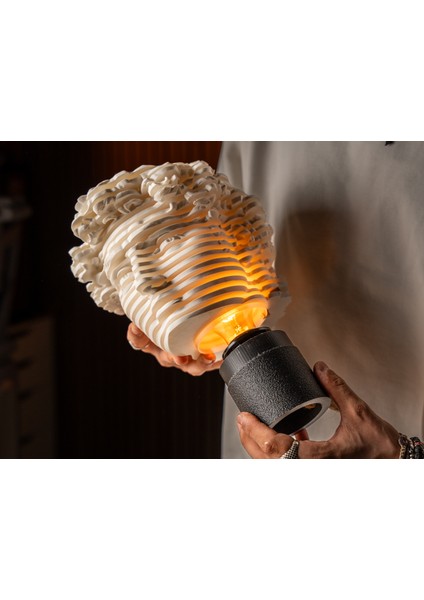 David Artlamp – Modern Sanat Büstü Masa Lambası modelleri