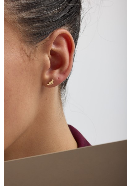 14 Ayar Altın Kedi Tragus Piercing